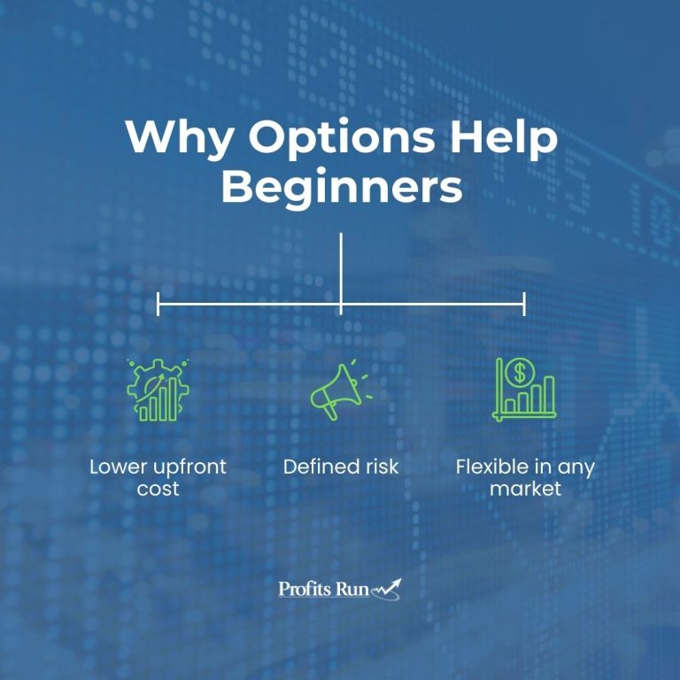 cost, risk and flexibility reasons why options help beginners